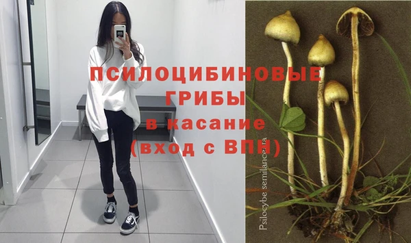 гашик Балабаново