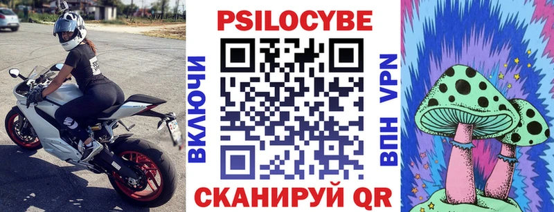 продажа наркотиков  Электросталь  Галлюциногенные грибы Psilocybine cubensis 
